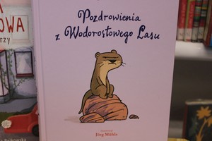Zdjęcie